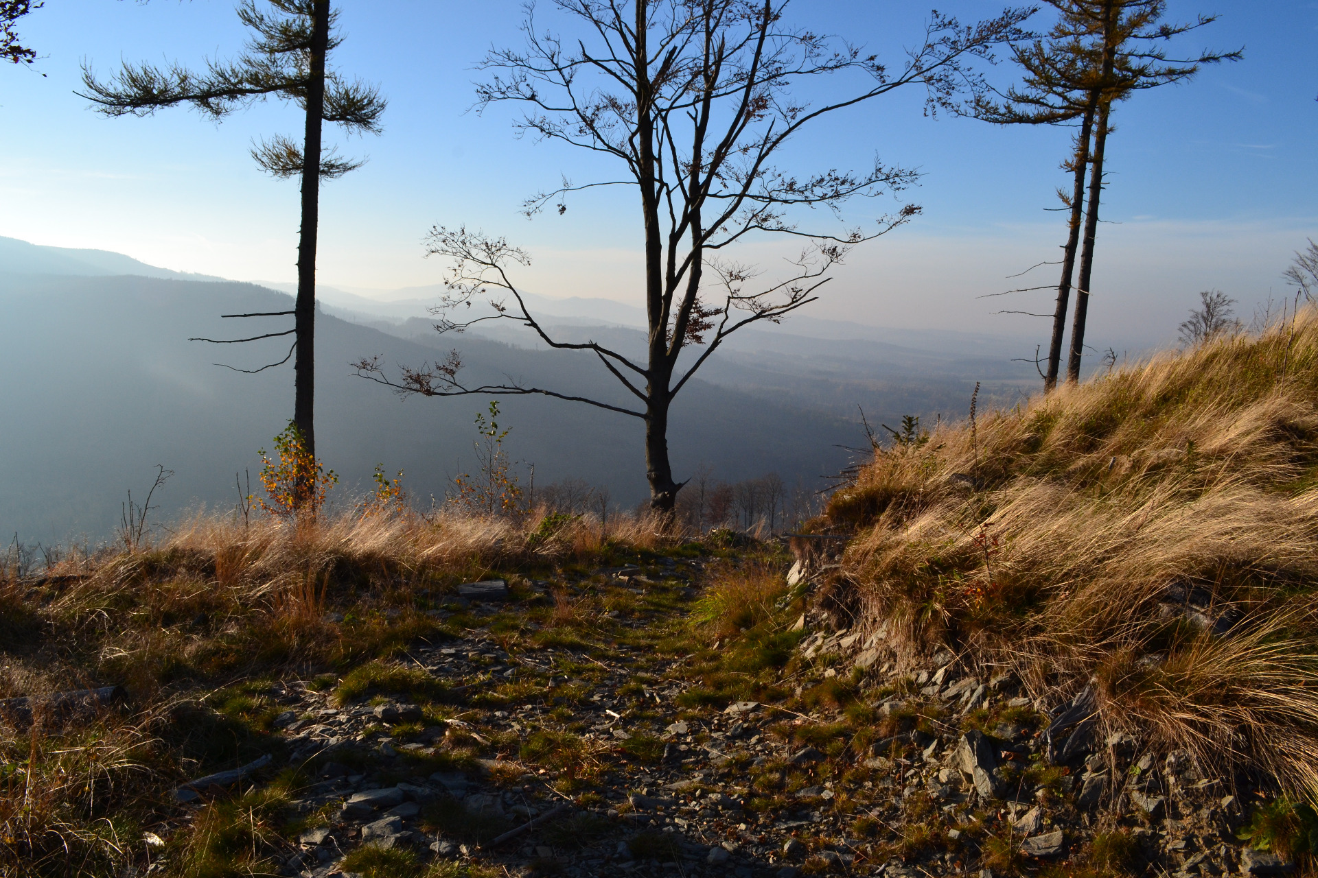 Větrná 803 m n.m.